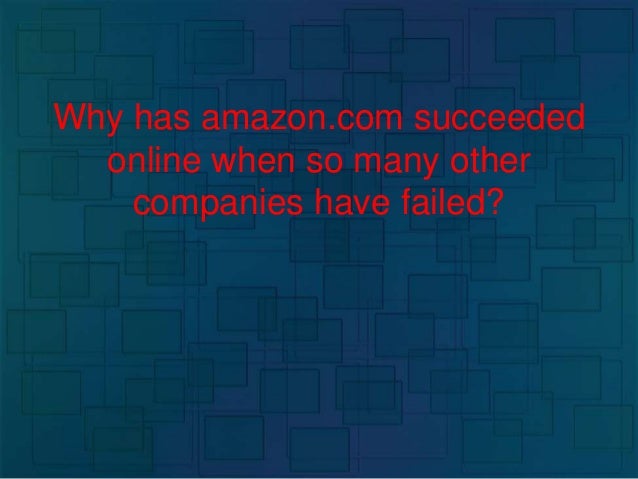 why has amazon succeeded online from a marketing perspective when so many others have failed amazon com going public case analysis
